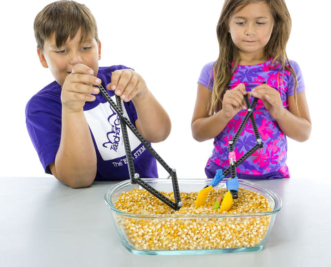 Grab Lab Activity - TeacherGeek