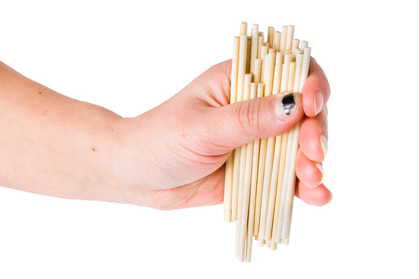 Small Bamboo Project Sticks - TeacherGeek