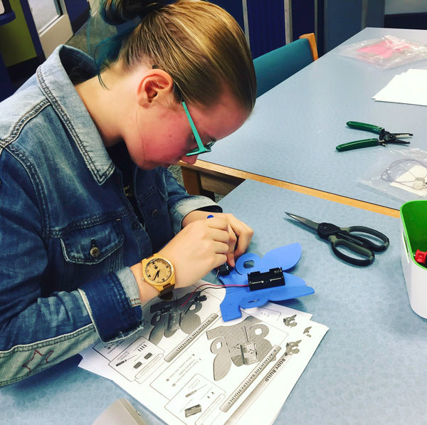 "Catch the Bug" The Ultimate Electronics Activity - TeacherGeek