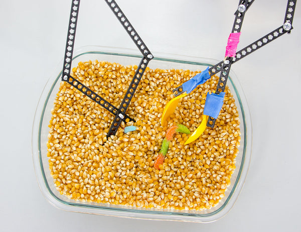 Grab Lab Activity - TeacherGeek