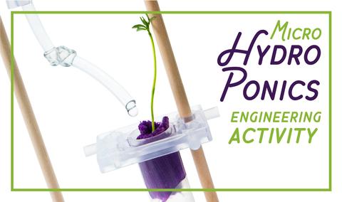 Micro Hydroponics Activity