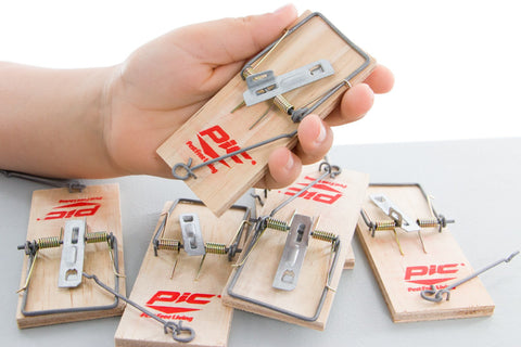 Mouse Trap - TeacherGeek